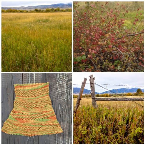 Beautiful fall colors! 